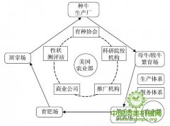 美国畜牧业出产系统特征及对我国